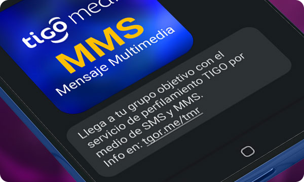 tmr-mms-2024