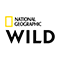 canal natgeowild