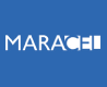 MARACAIBO CELULARES, MARACEL SOCIEDAD DE RESPONSABILIDAD LIMITADA